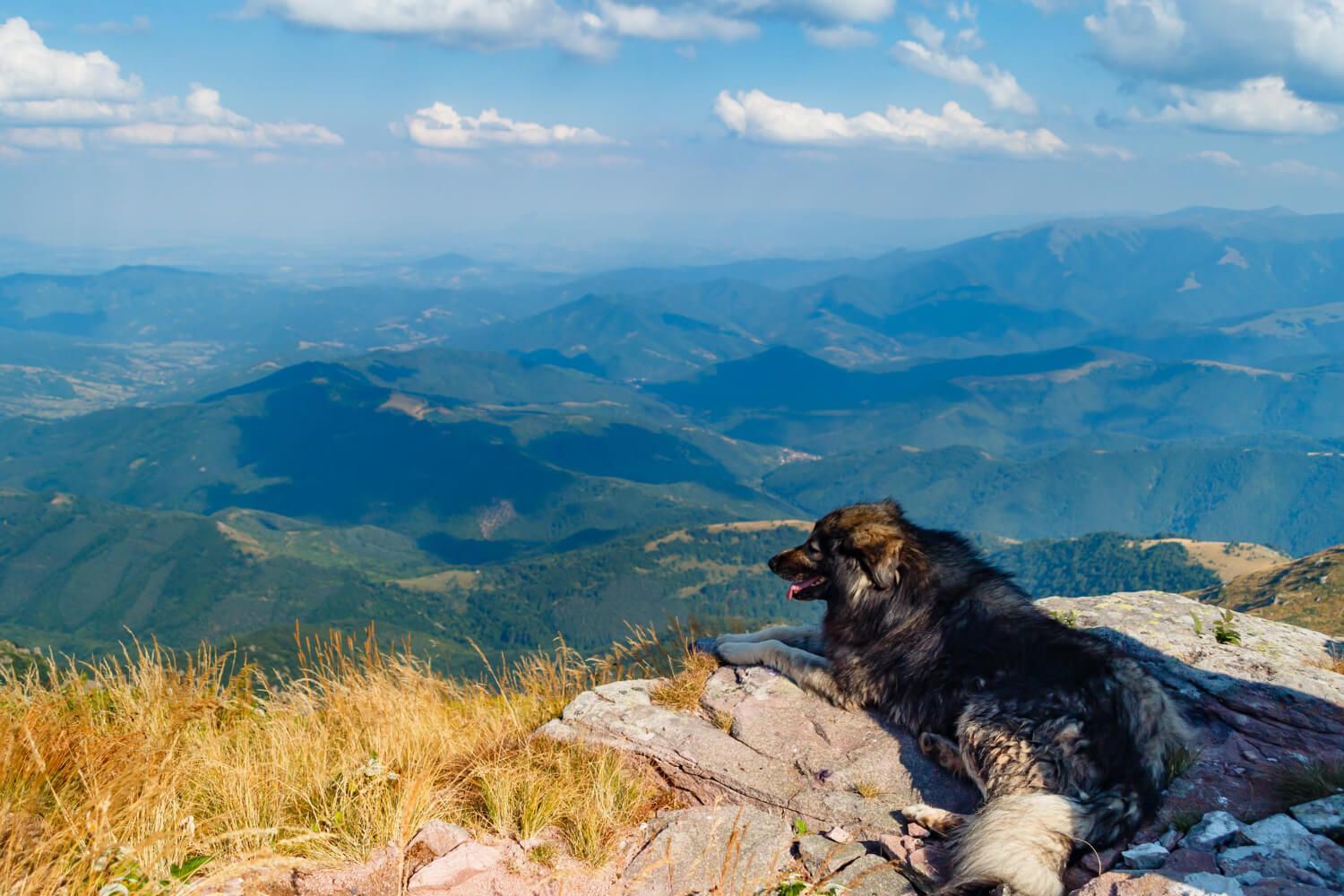 rutas monte perro bilbao